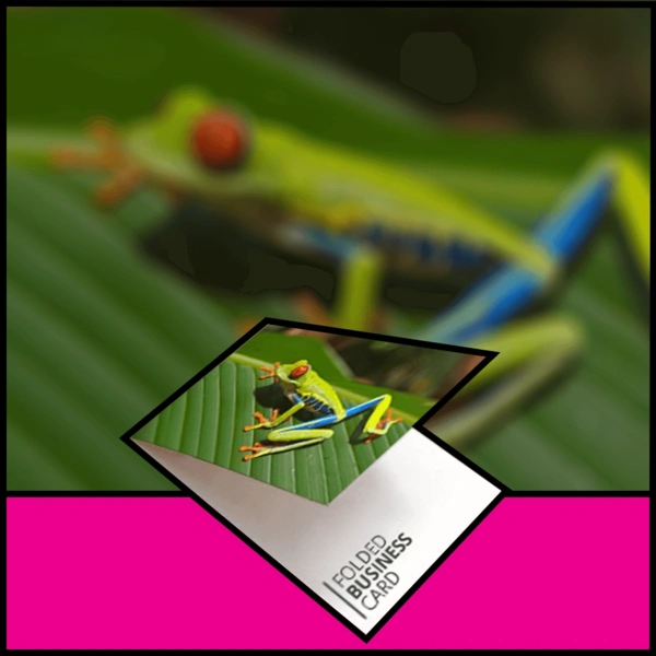 Folded Business Card 